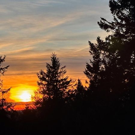 Ferienwohnung Wolkenplatz Winterberg Buitenkant foto