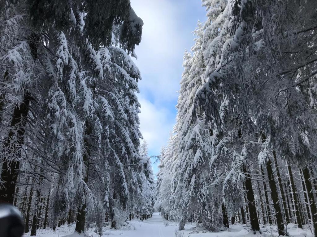 Ferienwohnung Wolkenplatz Winterberg Buitenkant foto