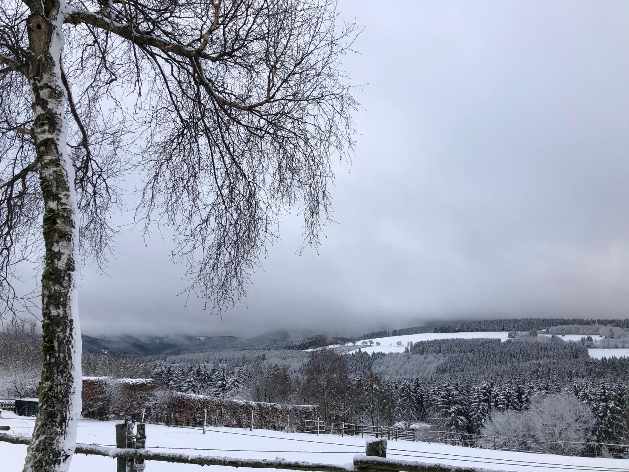 Ferienwohnung Wolkenplatz Winterberg Buitenkant foto