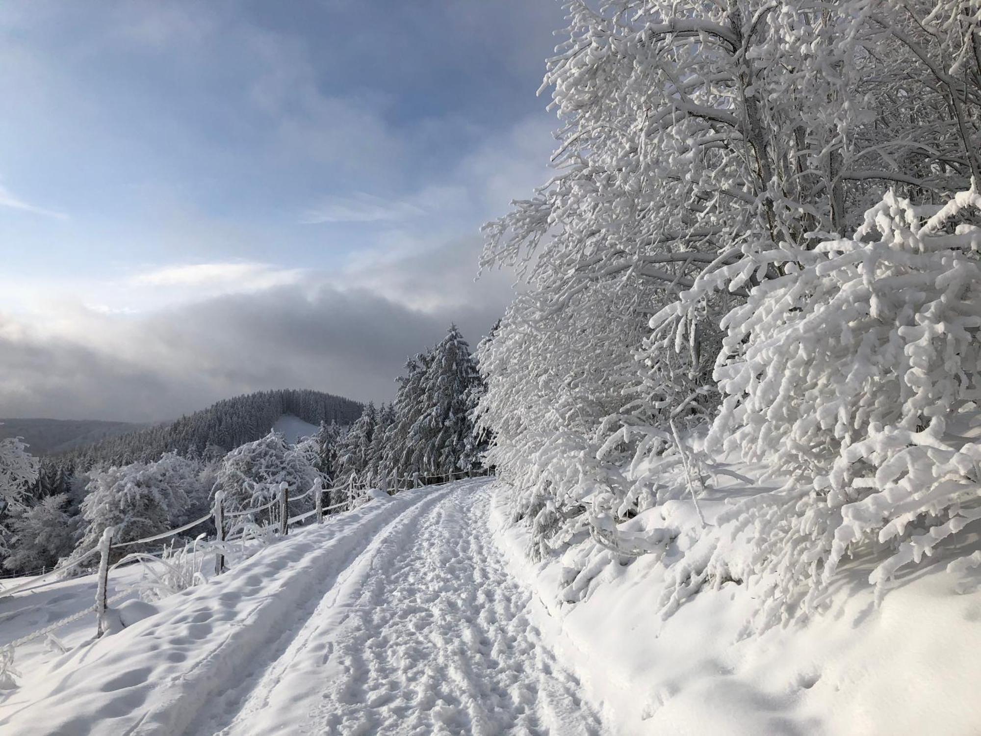 Ferienwohnung Wolkenplatz Winterberg Buitenkant foto