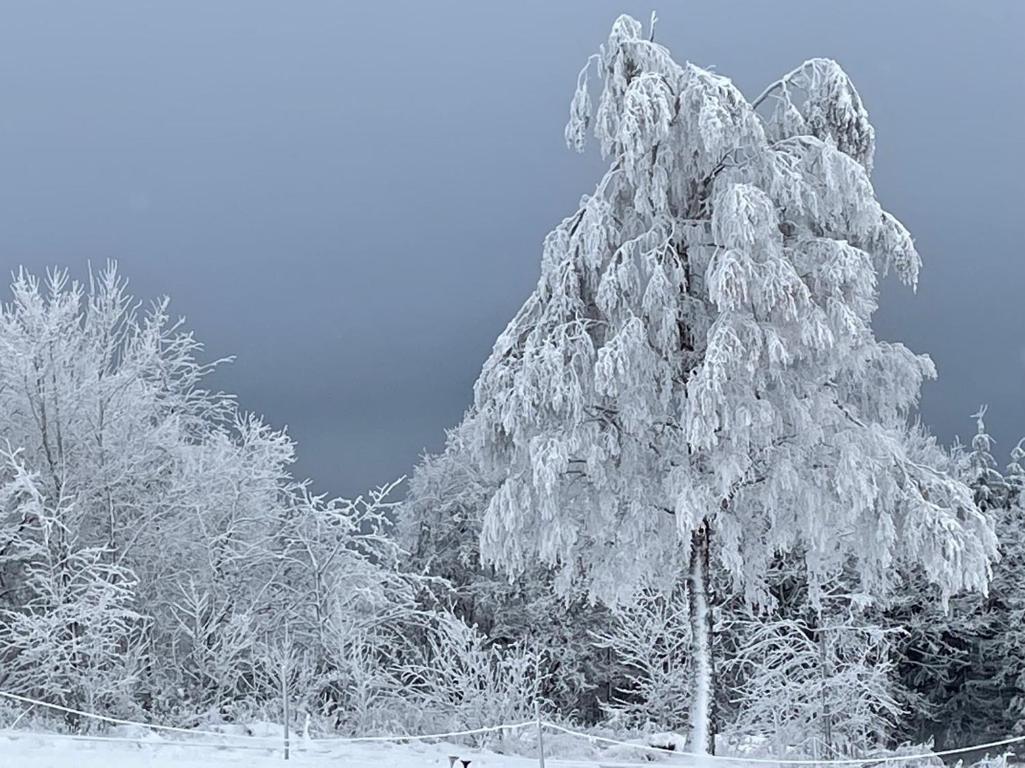 Ferienwohnung Wolkenplatz Winterberg Buitenkant foto