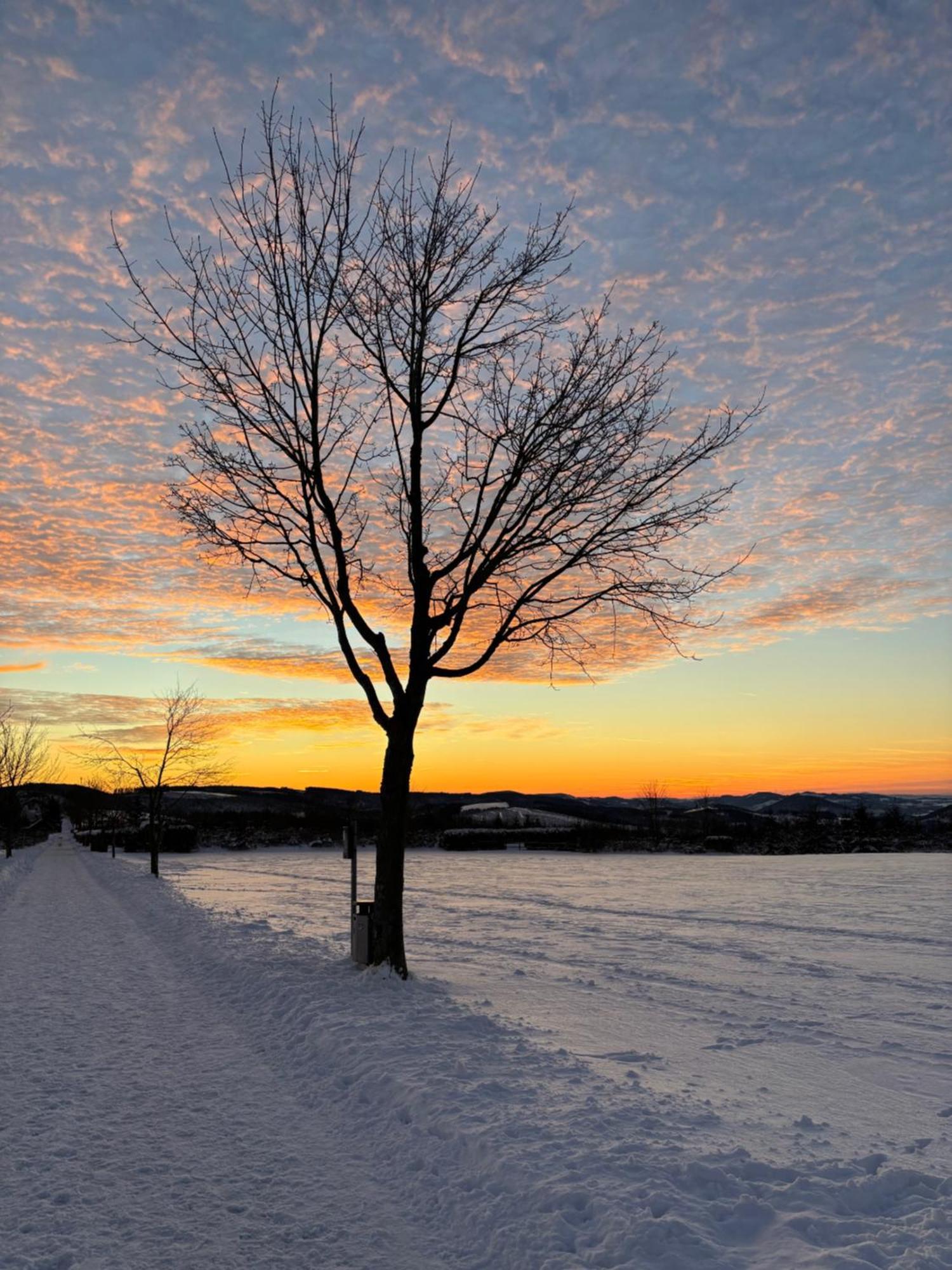 Ferienwohnung Wolkenplatz Winterberg Buitenkant foto